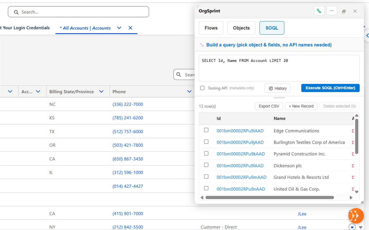 OrgSprint SOQL query results