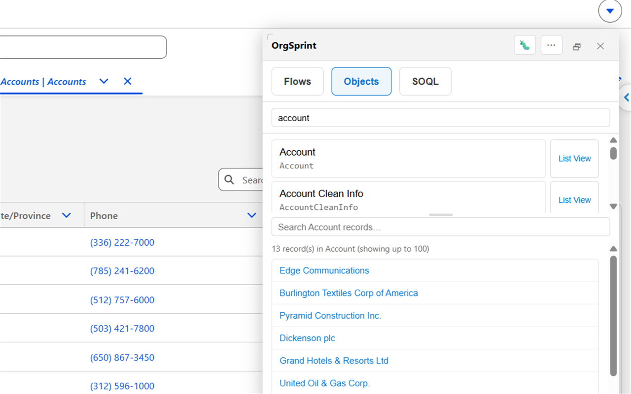 OrgSprint object and record browser