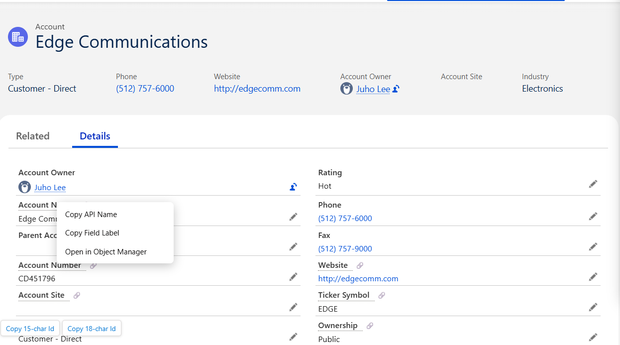 OrgSprint right-click menu on a field label with Copy API Name, Copy Field Label, and Open in Object Manager